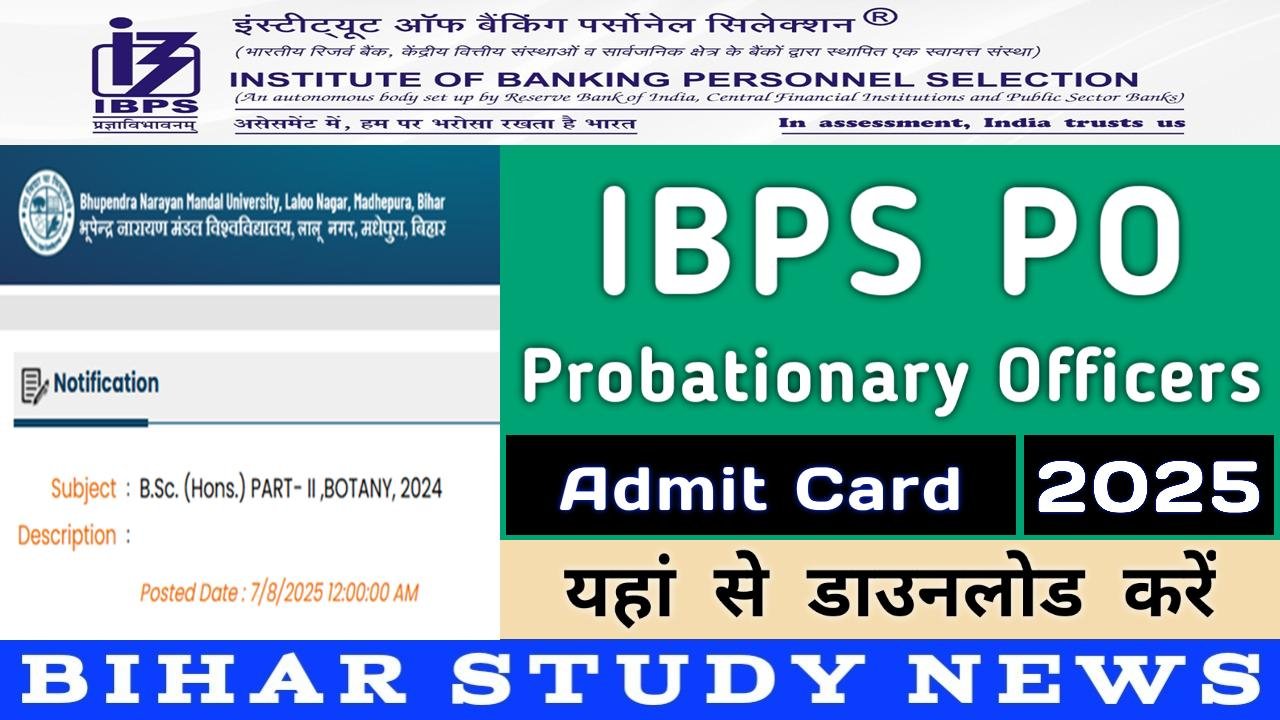 IBPS PO Admit Card 2025