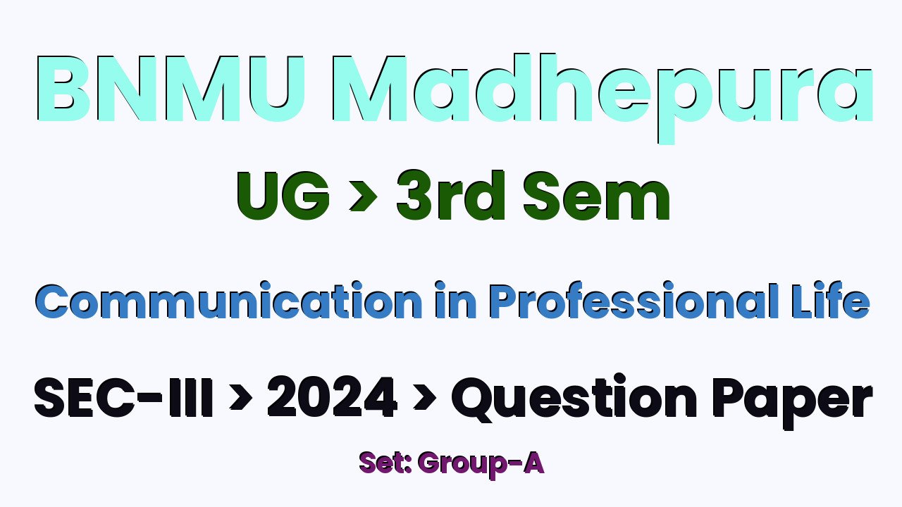 BNMU Madhepura UG 3rd Sem Communication in Professional Life SEC-III Group-A 2024 Question Paper