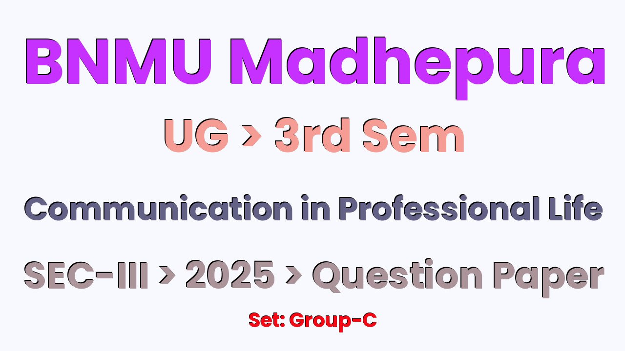 BNMU Madhepura UG 3rd Sem Communication in Professional Life SEC-III Group-C 2025 Question Paper